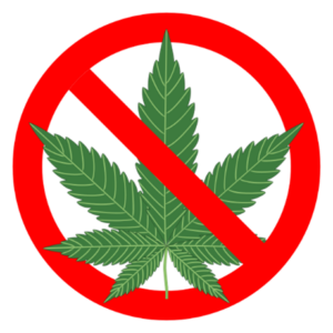 Cannabis 5